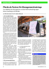 Pferde als Partner für Managementtrainings