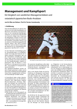 Management und Kampfsport