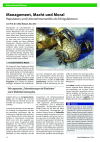 Management, Macht und Moral