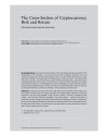 The Cross-Section of Cryptocurrency Risk and Return