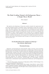The Bank Lending Channel with Endogenous Money - A Simple Macro Model